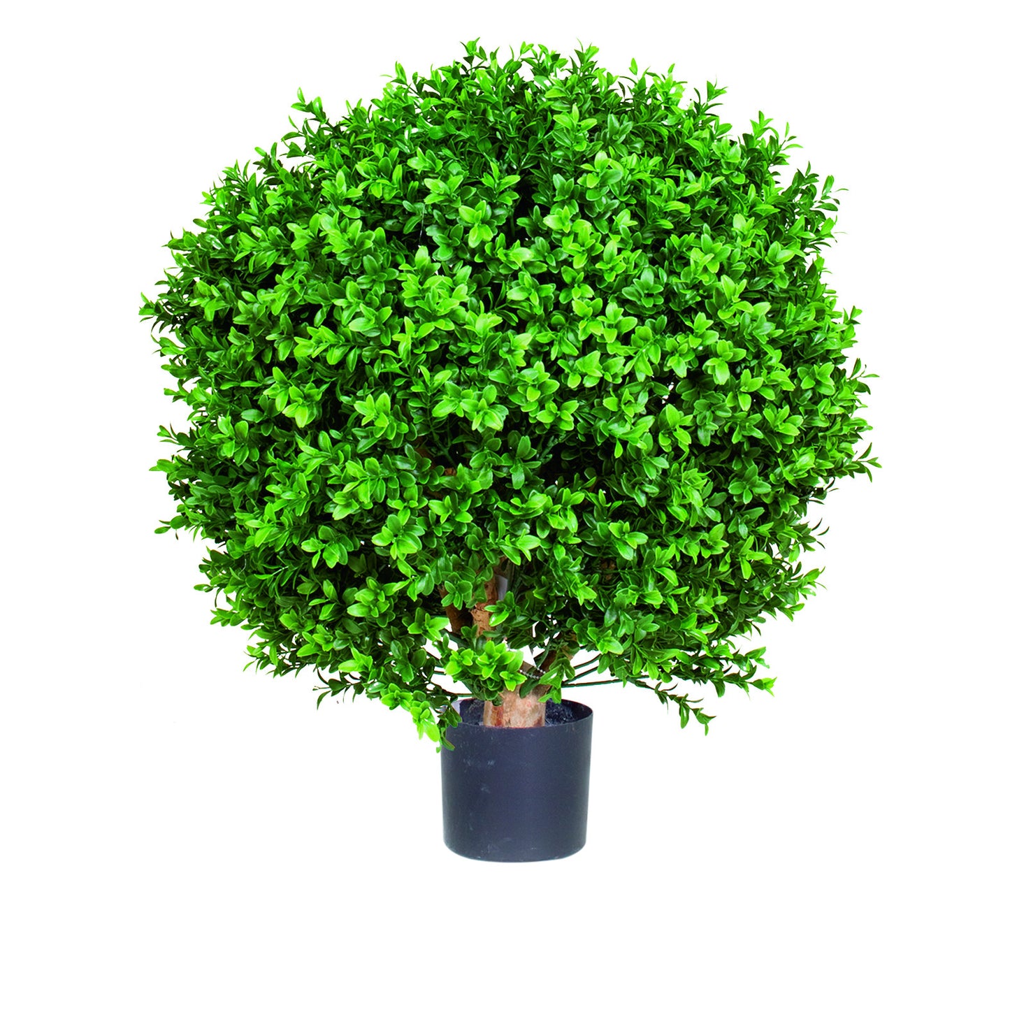 Buxus Kugel grün Ø45cm/H55 cm