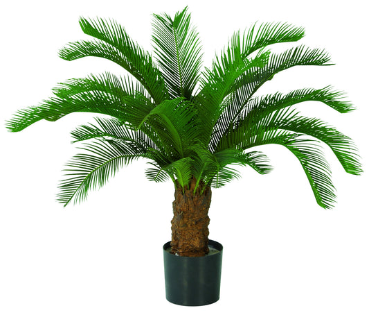 Cycas Stamm 80 cm grün